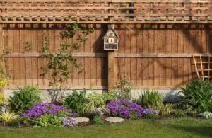 cedar fence landscaping ideas