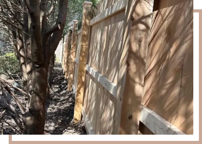 privacy cedar fence along line of trees
