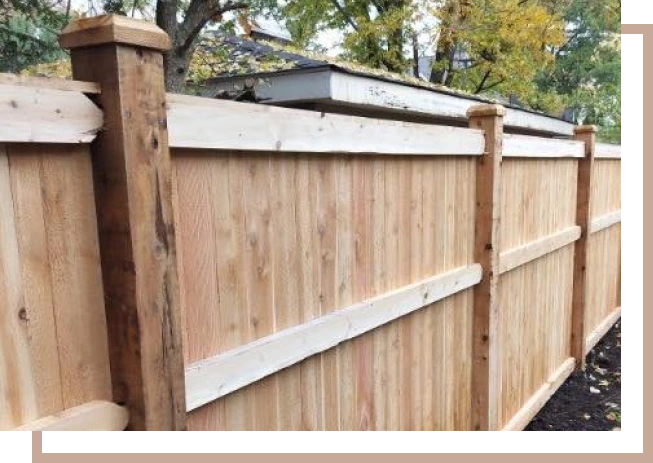 Cedar Fence