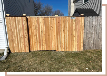 Cedar Fence