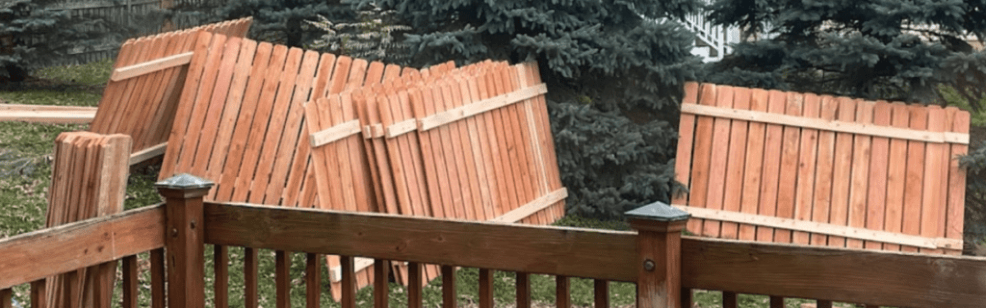 Read more about the article Fence Removal
