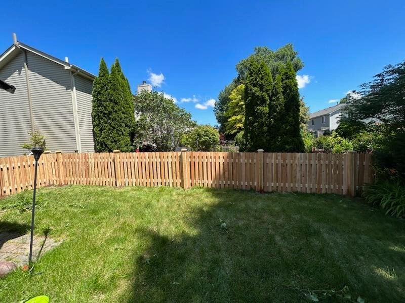 Read more about the article Fence Removal