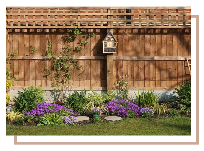 Lattice-Top Cedar Fences