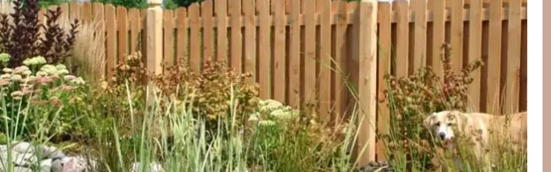 Shadow Box Cedar Fencing with Gap Under Fence