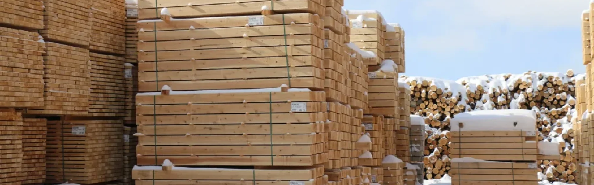 stacks of lumer in the snow