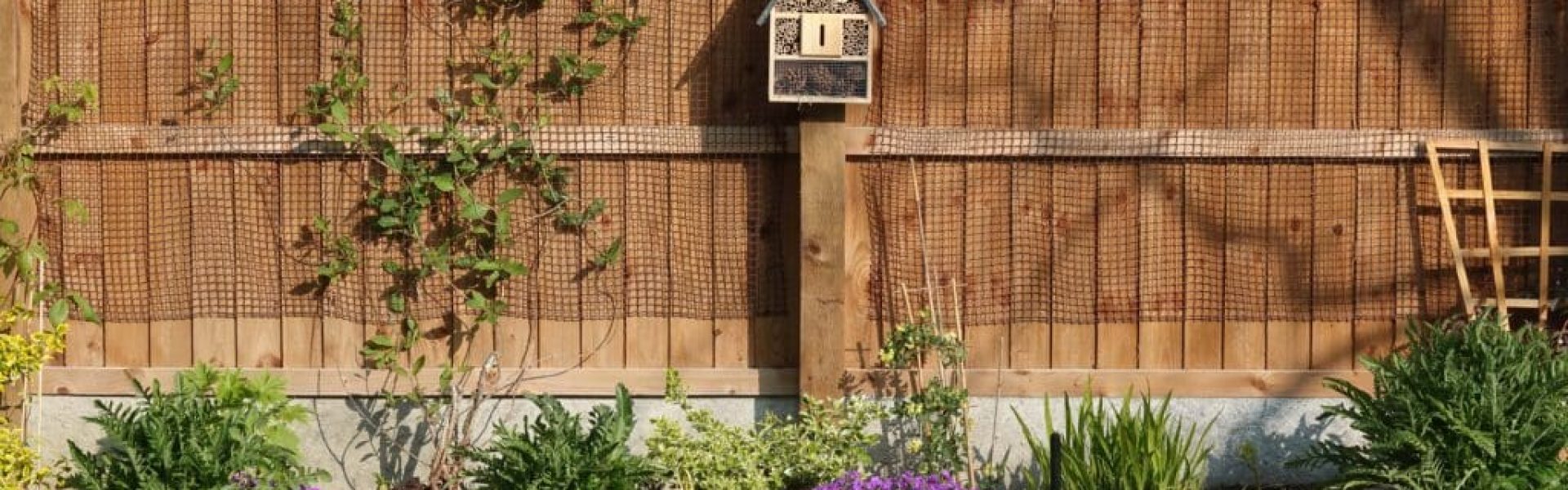 cedar fence landscaping ideas